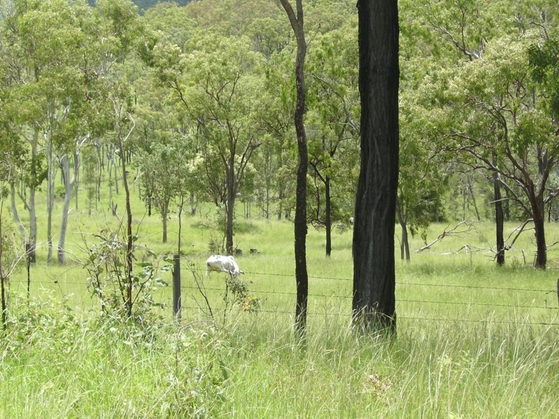 Biggenden QLD 4621