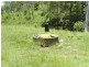 Biggenden QLD 4621