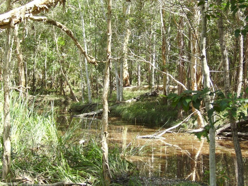 Bauple QLD 4650