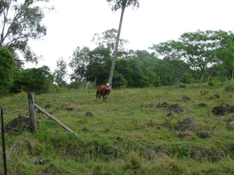 Kanigan QLD 4570