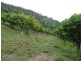 Kanigan QLD 4570