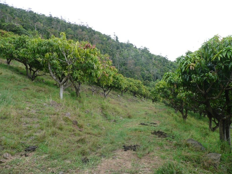 Kanigan QLD 4570