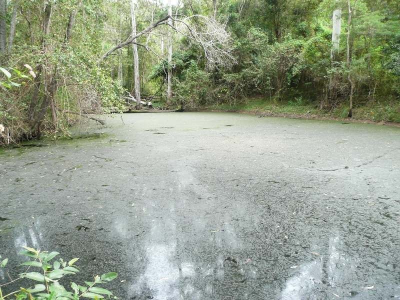 Tiaro QLD 4650