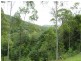 Bauple QLD 4650
