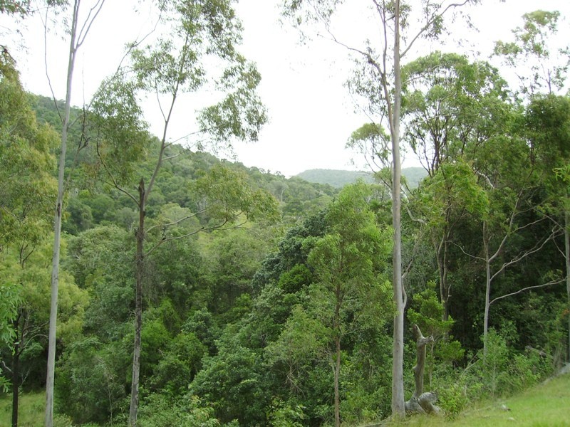 Bauple QLD 4650