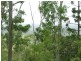 Bauple QLD 4650