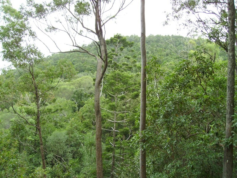 Bauple QLD 4650