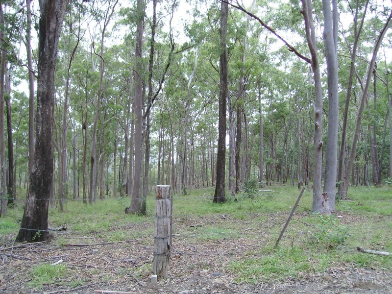Bauple QLD 4650