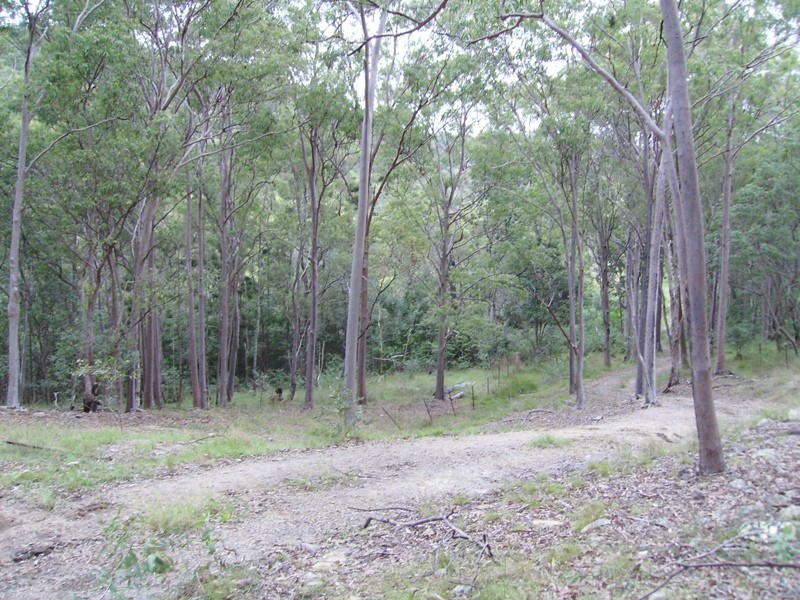 Bauple QLD 4650
