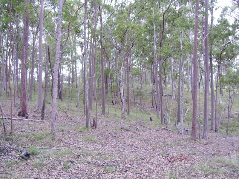 Bauple QLD 4650