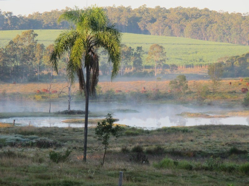 Bauple QLD 4650