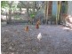 Bauple QLD 4650