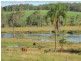 Bauple QLD 4650