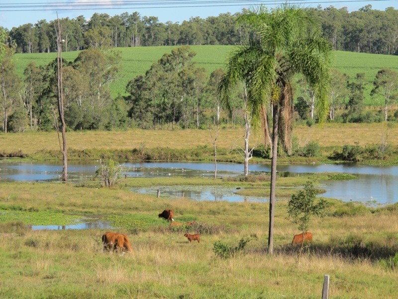 Bauple QLD 4650