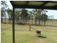 Tiaro QLD 4650