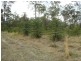 Teebar QLD 4620