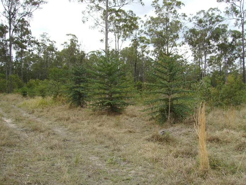 Teebar QLD 4620