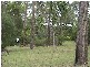 Bauple QLD 4650