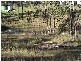 Glenwood QLD 4570