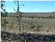 Cinnabar QLD 4600