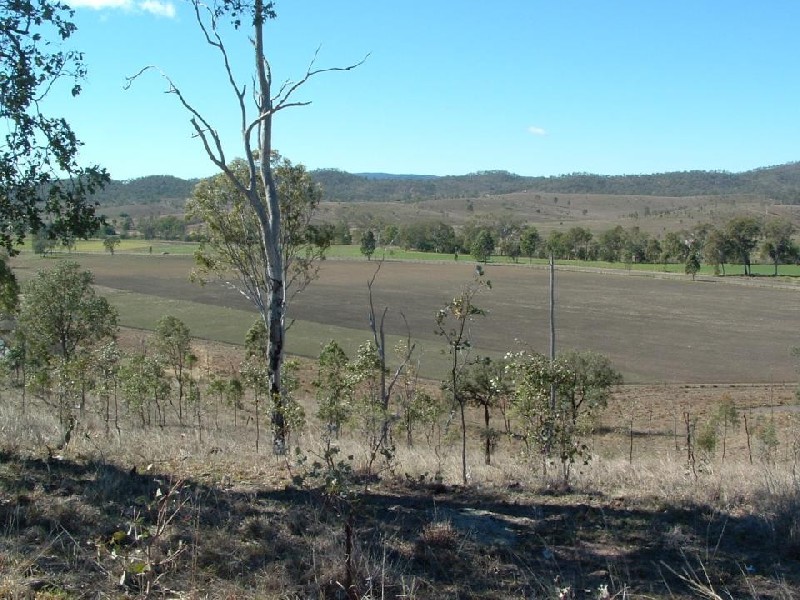 Cinnabar QLD 4600