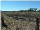 Cinnabar QLD 4600