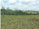 Miva QLD 4570