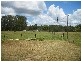 Grahams Creek QLD 4650