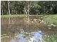 Bauple QLD 4650