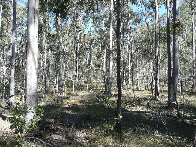 Mungar QLD 4650