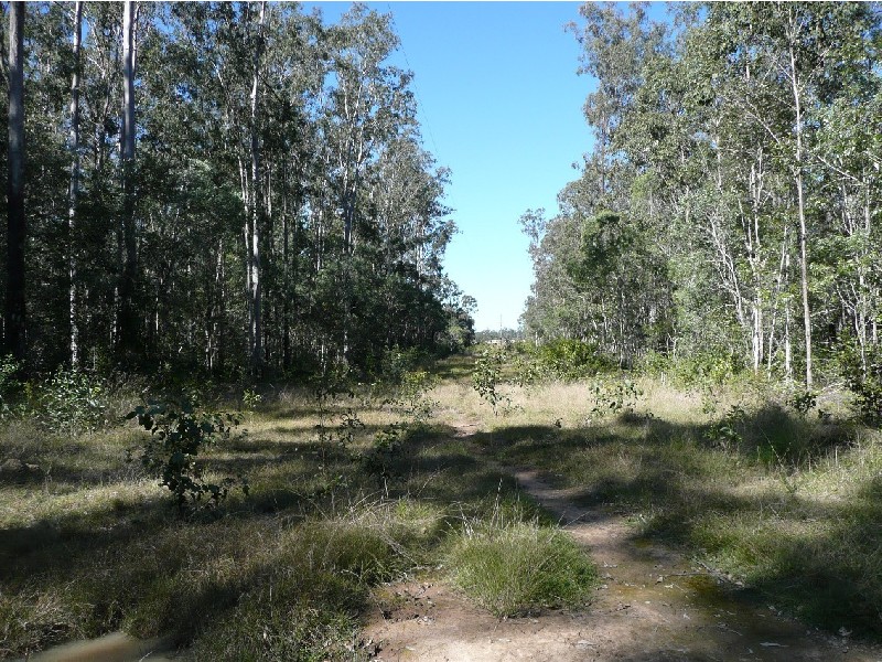 Mungar QLD 4650