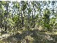 Mungar QLD 4650