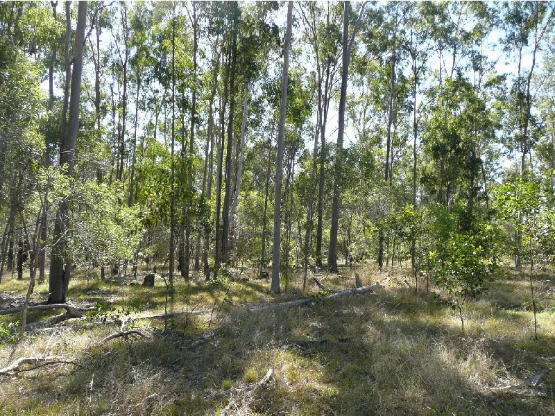 Mungar QLD 4650