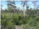Bauple QLD 4650