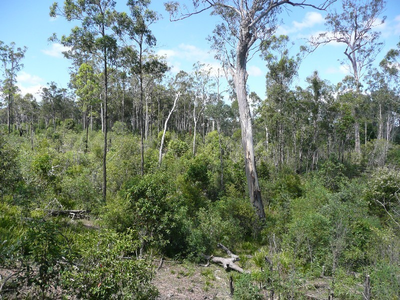 Bauple QLD 4650