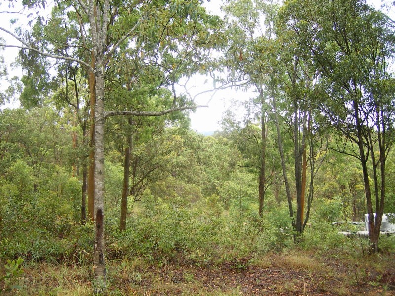 Glenwood QLD 4570