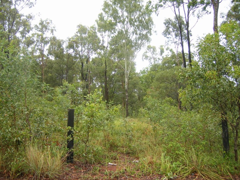 Glenwood QLD 4570