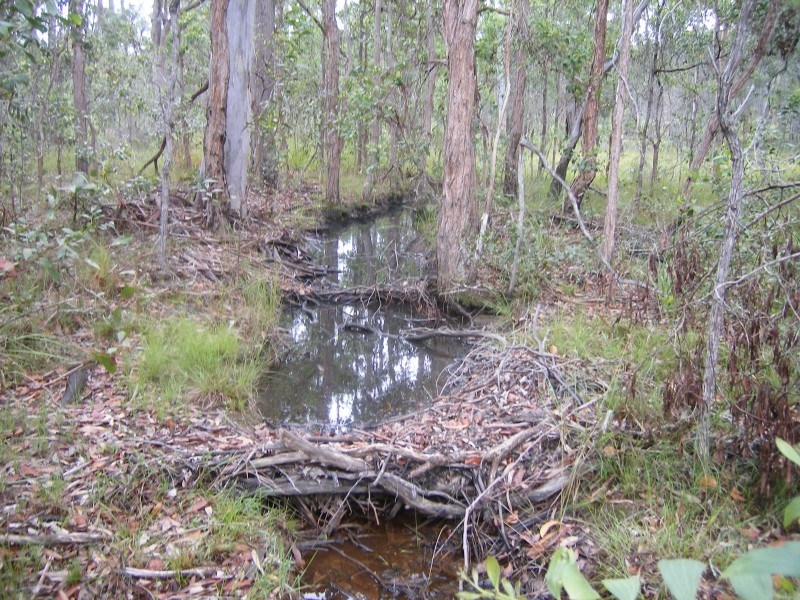 80 Cassia Road, Bauple QLD 4650