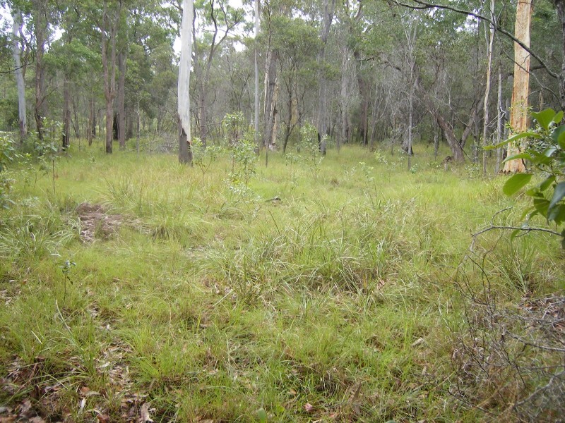 80 Cassia Road, Bauple QLD 4650