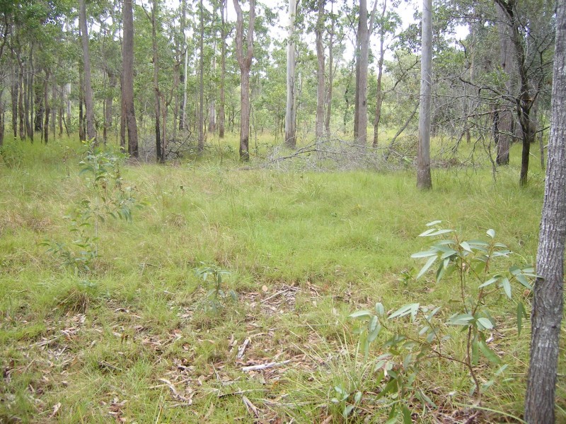 80 Cassia Road, Bauple QLD 4650