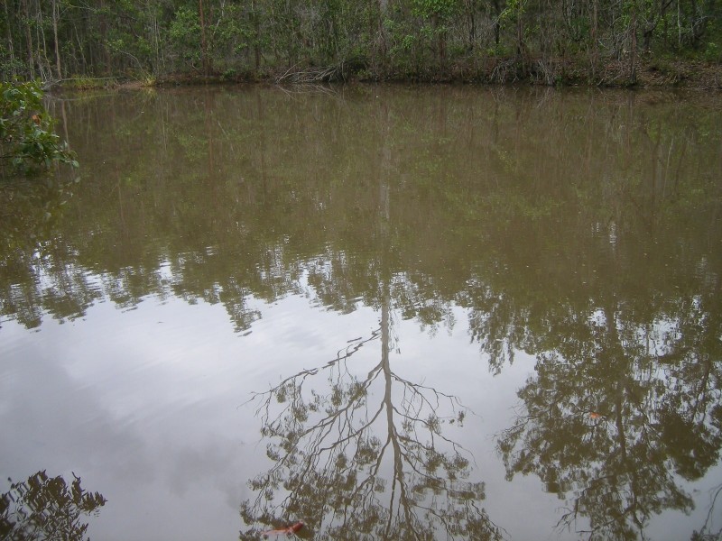 80 Cassia Road, Bauple QLD 4650