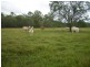 Yengarie QLD 4650