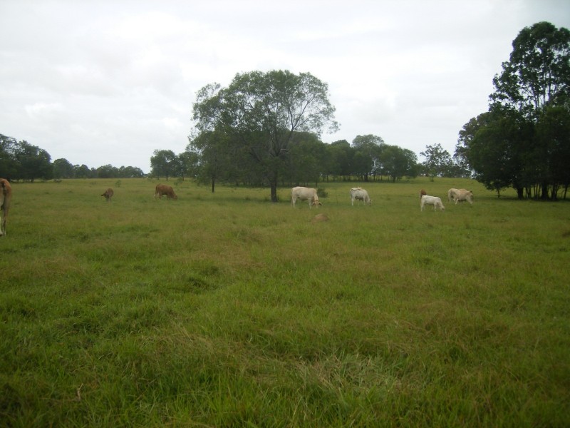 Yengarie QLD 4650