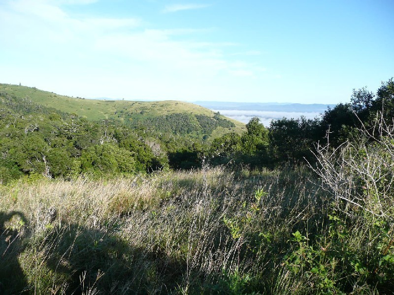 Kanigan QLD 4570