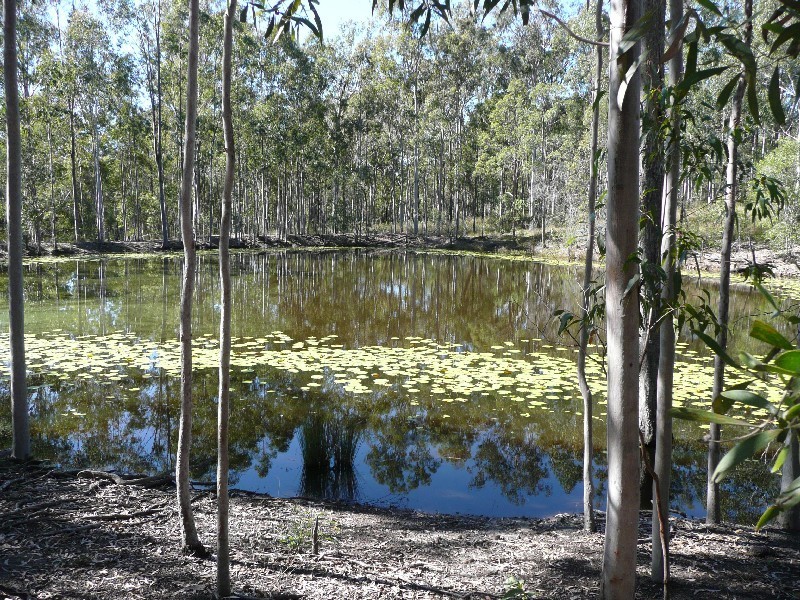 Brooweena QLD 4620
