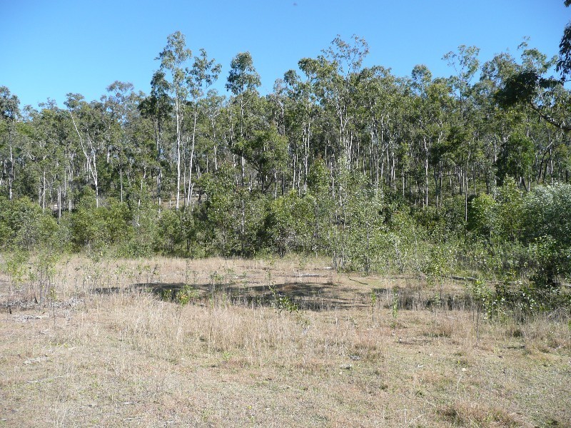 Golden Fleece QLD 4621