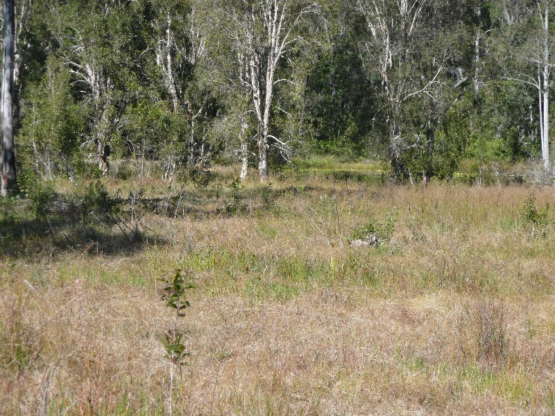 Golden Fleece QLD 4621