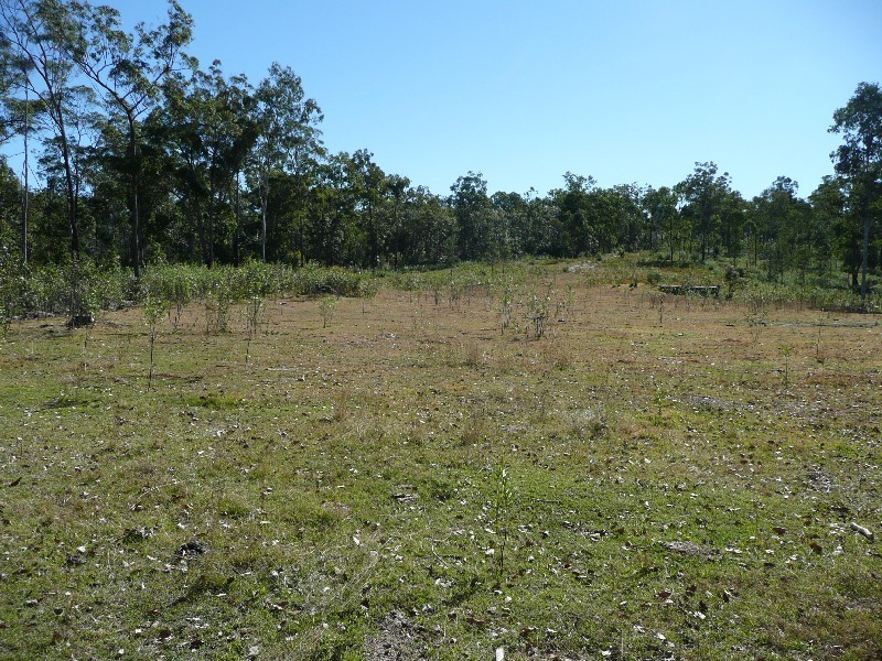 Golden Fleece QLD 4621