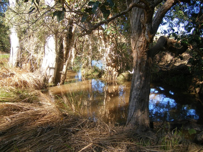 Bauple QLD 4650