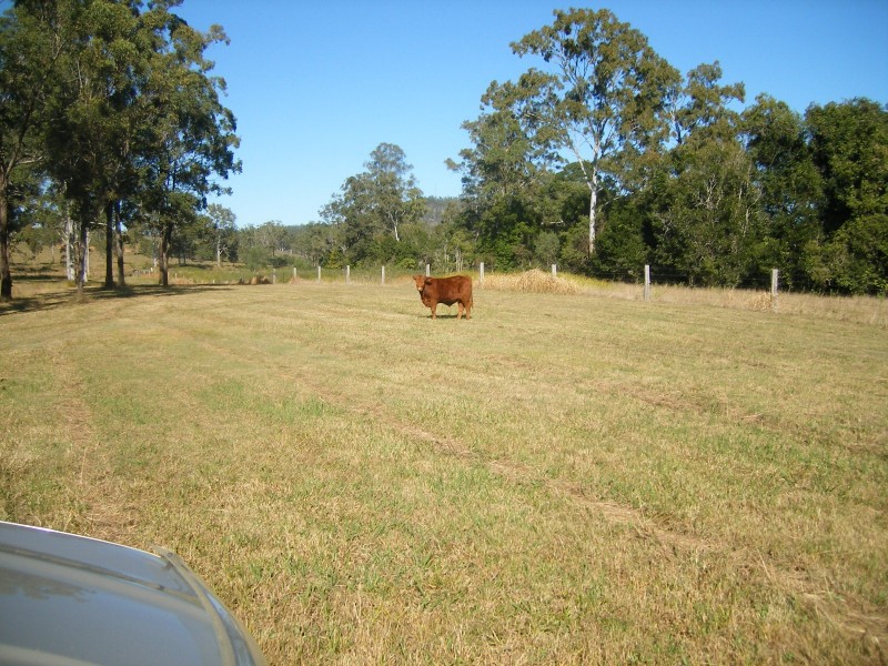 Bauple QLD 4650